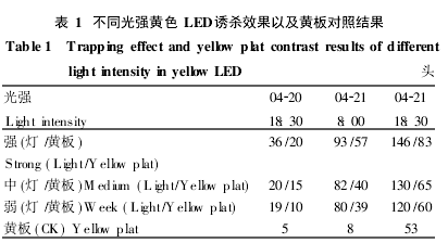 ͬ⏊(qing)SɫLEDTЧԼS匦սY(ji)