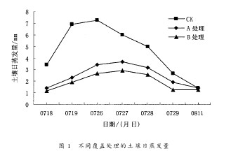 圖1 不同覆蓋處理的土壤日蒸發(fā)量