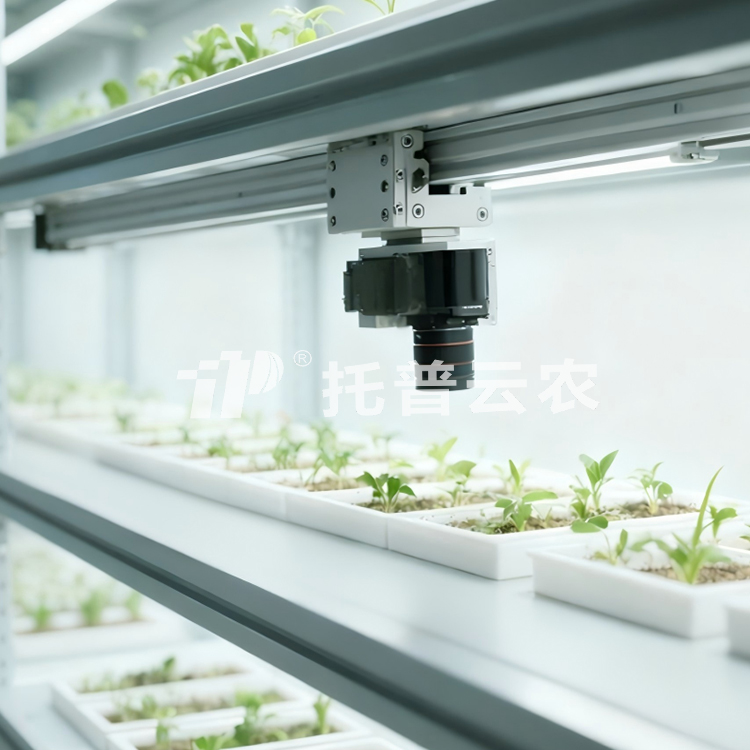 �˹������ֲ����ͱO(ji��n)�yϵ�y(t��ng)TP-PlantR TP-PlantR