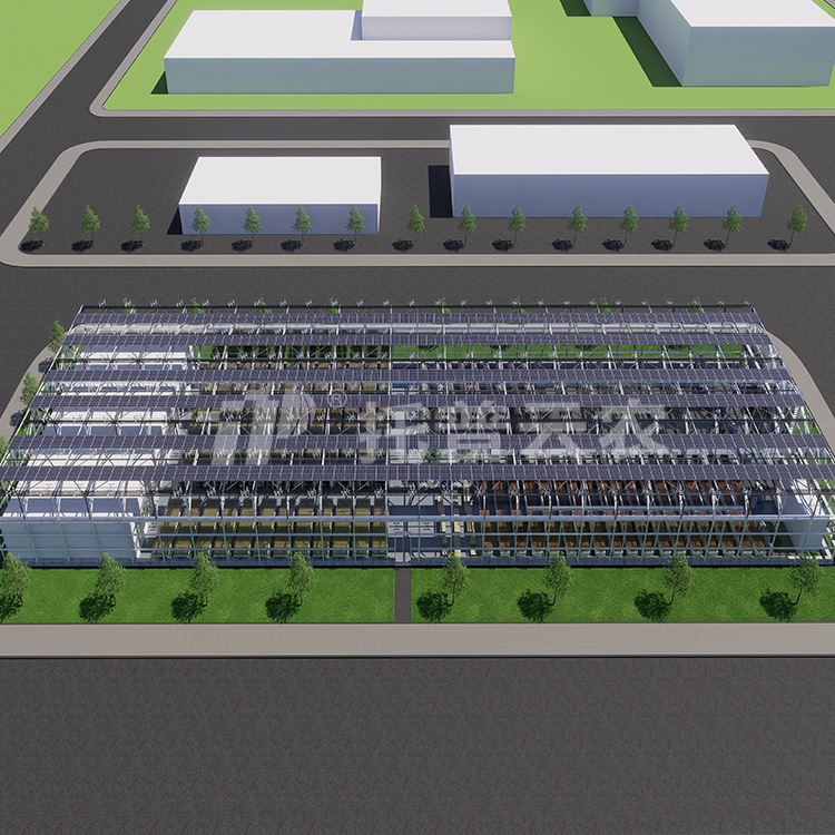 ������ֲ�﹤�S TP-ZWGCϵ��